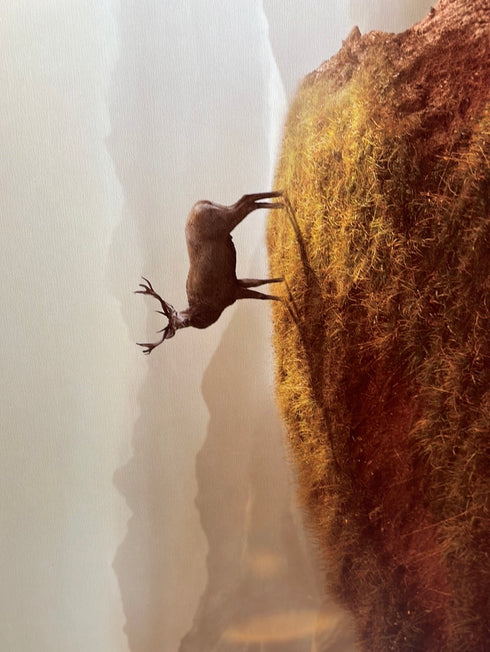 0650 - Lookout
